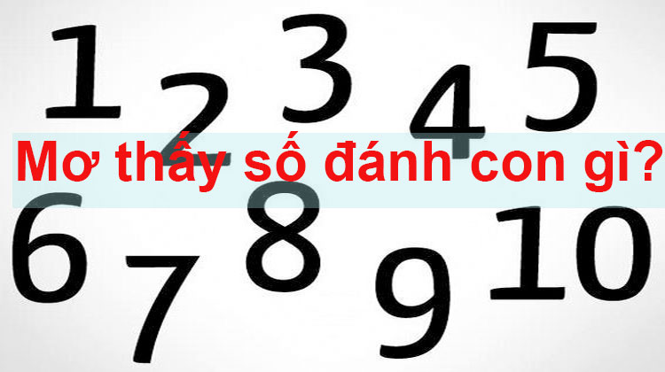 0jduutd1usoi9ldcziyarcobhhympj2nefgsvadrnehngbfq55bxurxev6bo-e94jeqortolodpfqyy3pwrgd2a6e85-b6mtidpgh8xq1xz6kbe9ndrm9z5e20saeq4t250rneud