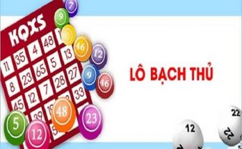 Lô bạch thủ là gì?