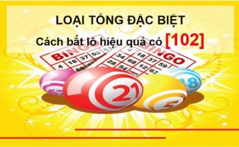 Loại tổng đặc biệt trong ngày hôm nay chuẩn xác nhất