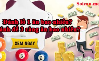 Đánh lô 1 ăn bao nhiêu và cách đánh đề 3 càng ăn bao nhiêu
